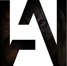 Arton Wild Logo